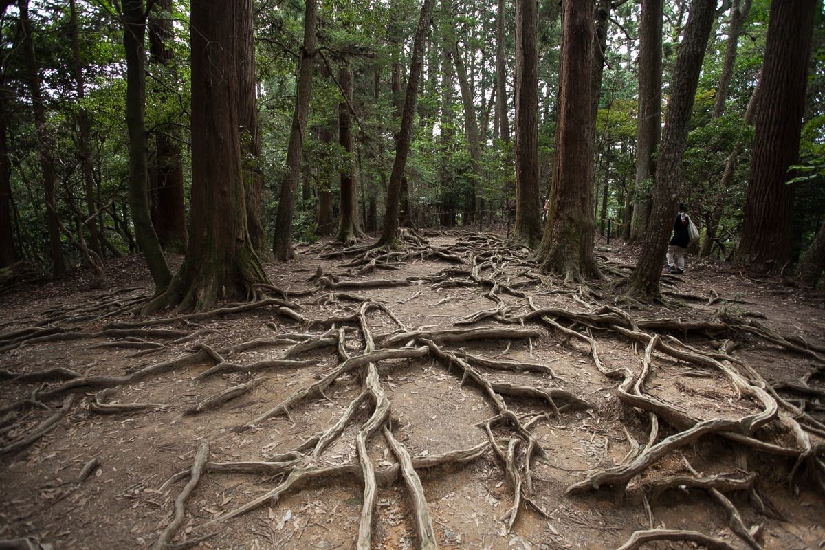 体験に価値を見いだす人が、新しい何かを作っていく