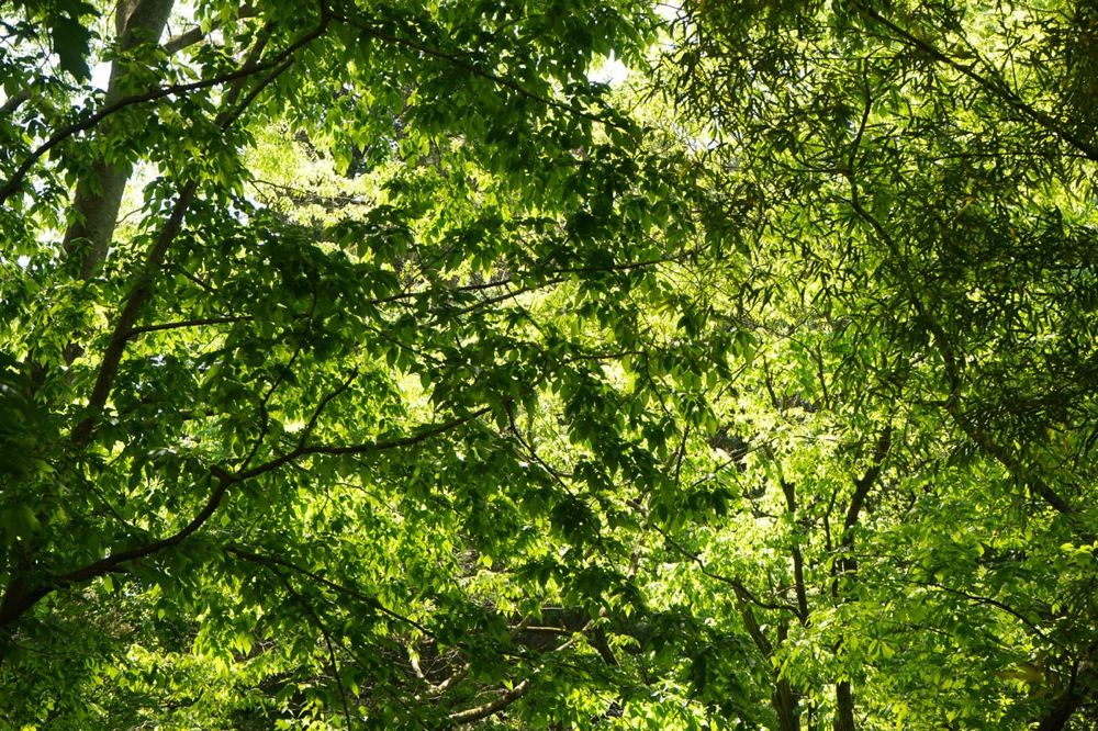 モチベーションの源泉と行動の言語化