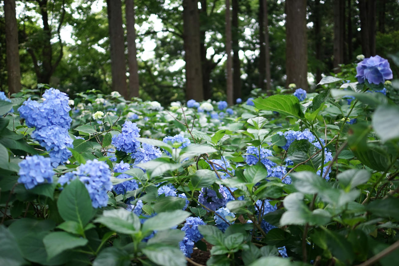 プロフィール、100のリストなど、諸々更新しました。