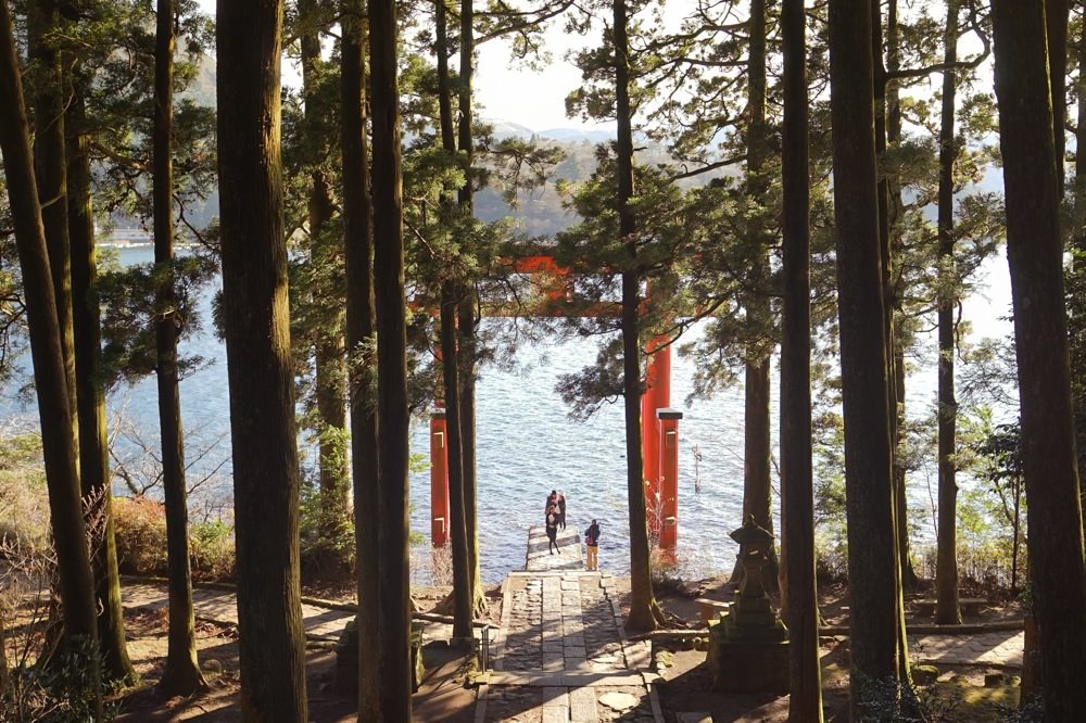 2015年の振り返り