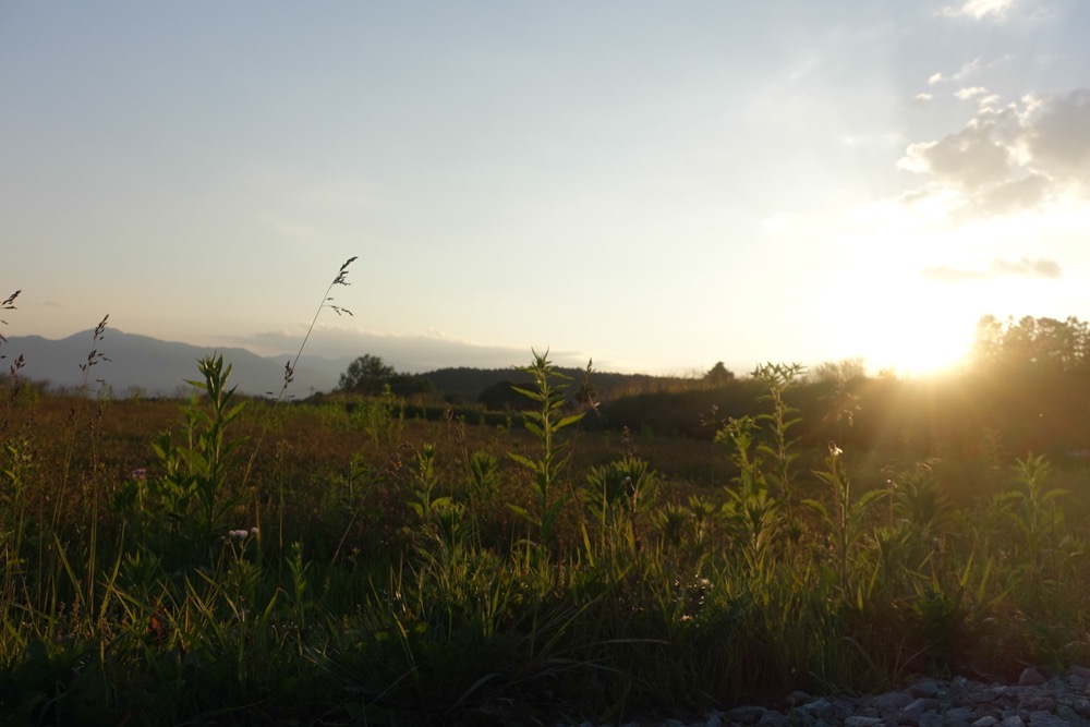 事業を成長させるためには「足し算」も「掛け算」も必要