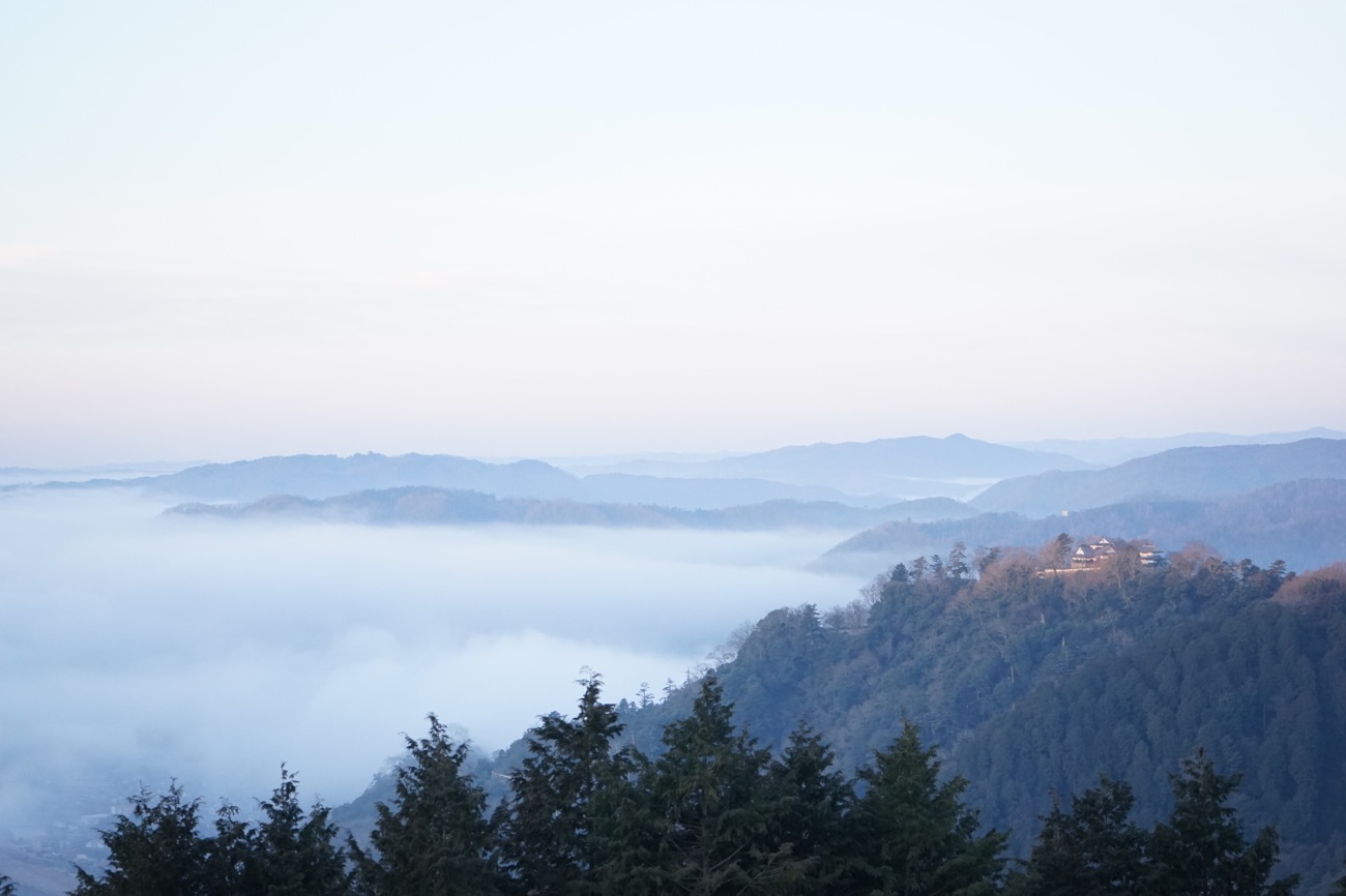 ブログ「Hibilog」を始めて4年が経ちました