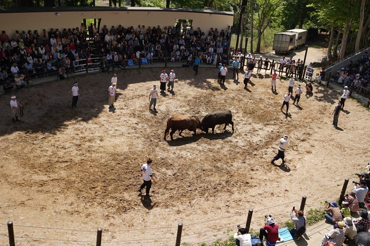 事業をする上で、自分の皮膚感覚を大事にしている。