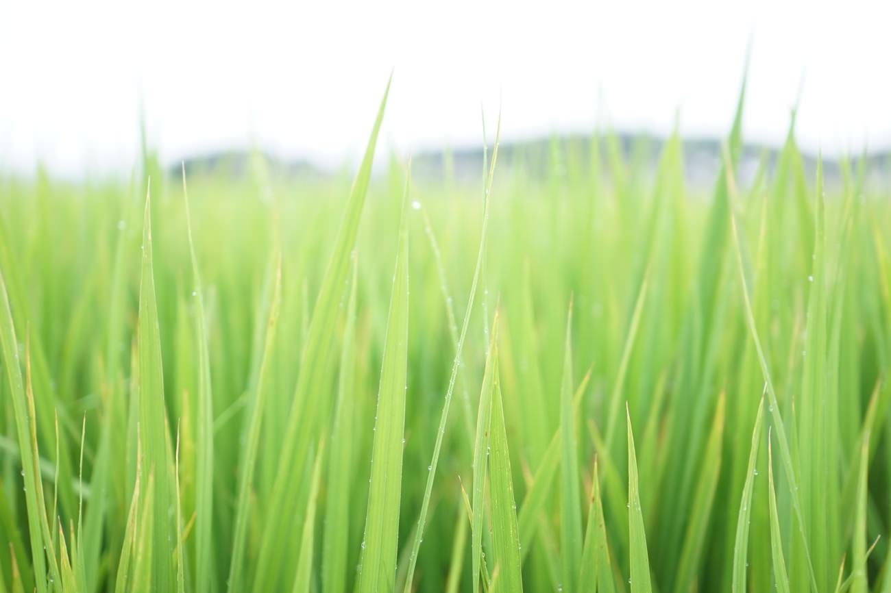 訪日メディア「MATCHA」の1つのゴール