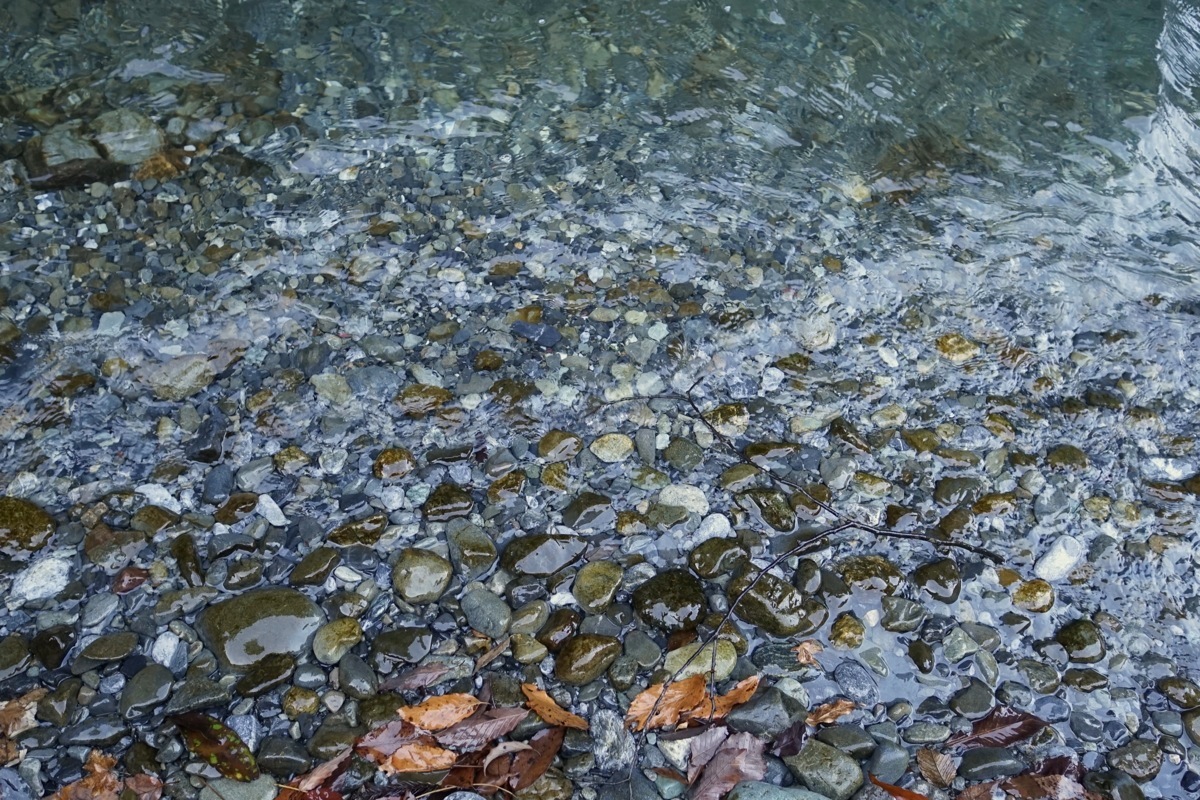 世の中は大きな海みたいなもので、立てた波は巡り巡って返ってくる