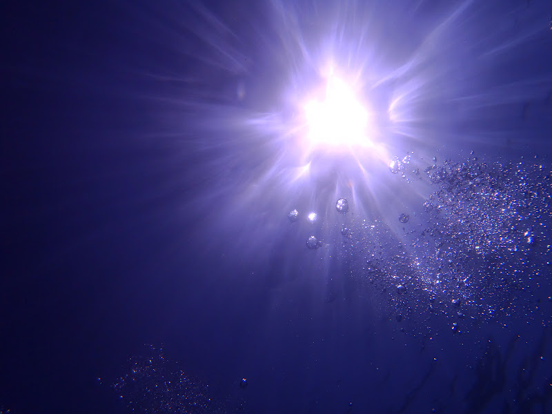 【1〜10位】2012年前半で、アクセスが多かったブログエントリー・Hibilog