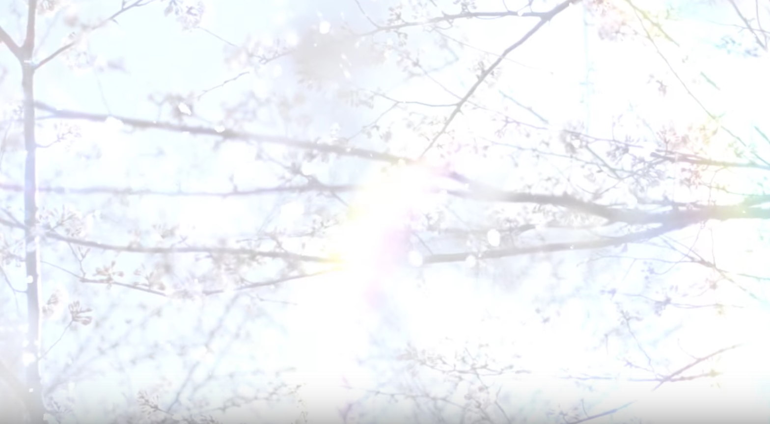 自分の感覚を信じて、決断し、行動していくこと