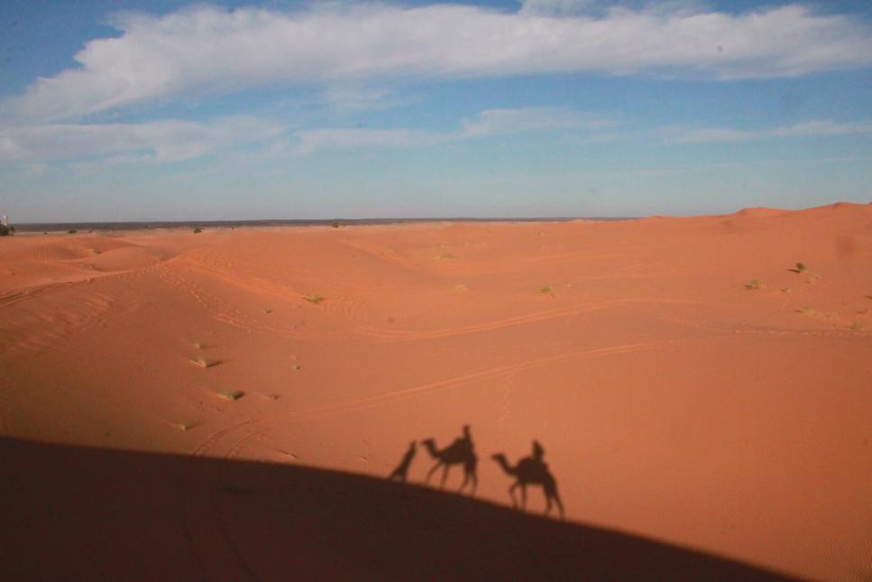 【11/18】イベント「人生でやりたい100のリスト」を開催します。
