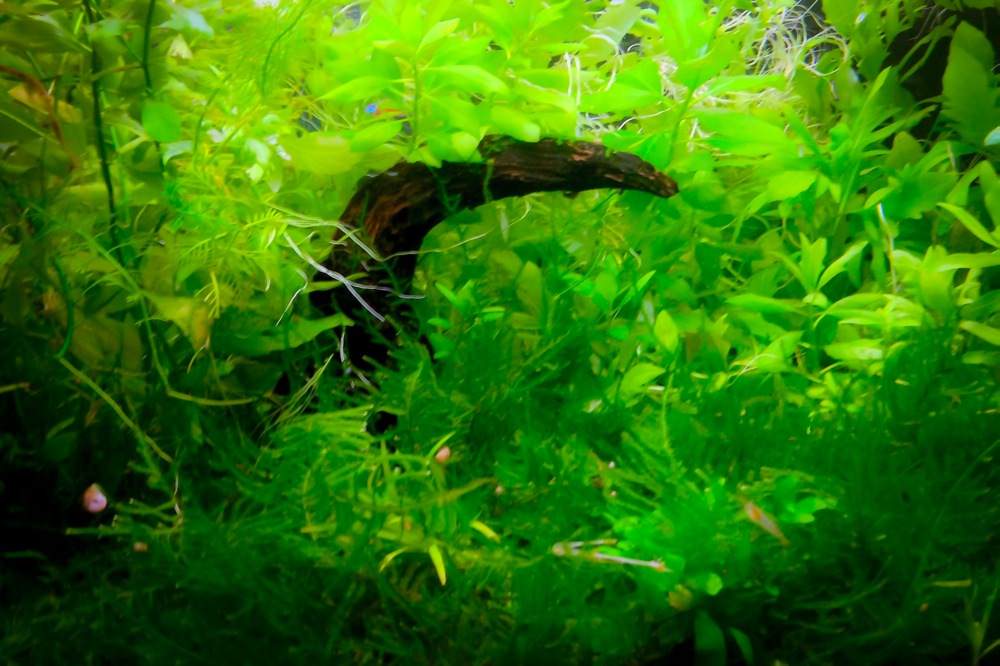 近況と気になった記事7選 7/8~7/14 2013