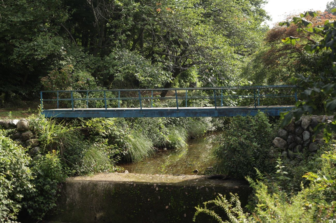 近況と気になった記事7選 7/15~7/21 2013