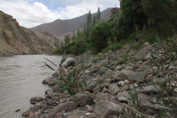 レー　ラダック　アルチゴンパ