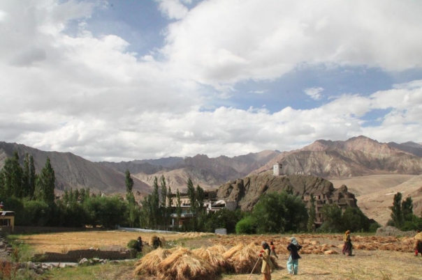 レー　ラダック　アルチゴンパ