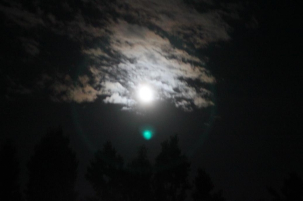 レー　ラダック　アルチゴンパ