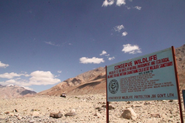 レー　パンゴンレイク　ラダック