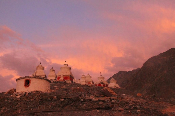 ヌブラ　インド　ラダック