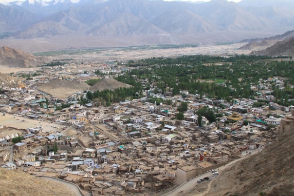 ヌブラタ谷　レー　ラダック