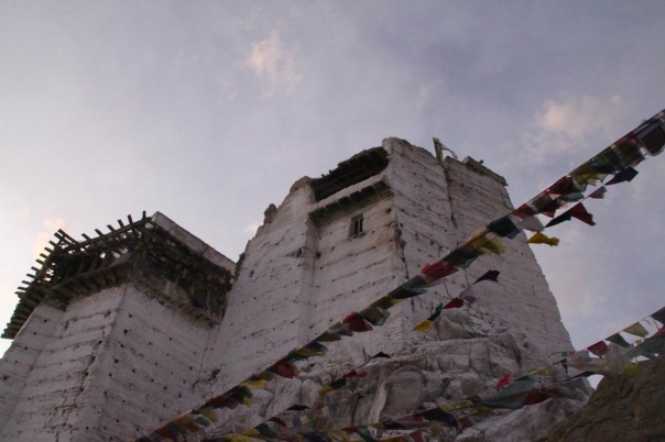 ヌブラタ谷　レー　ラダック