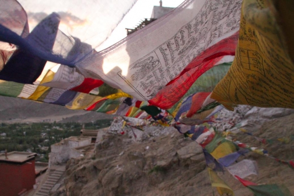 ヌブラタ谷　レー　ラダック