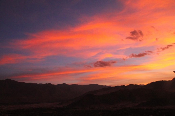 ヌブラタ谷　レー　ラダック