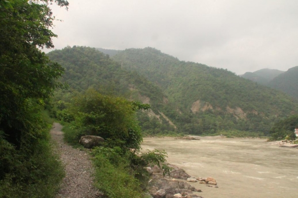 ヨガ　リシュケシュ　インド