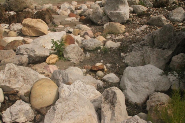 ヨガ　リシュケシュ　インド