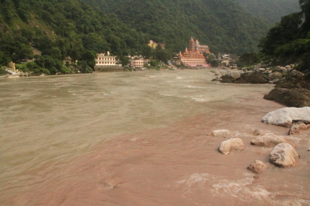 ヨガ　リシュケシュ　インド