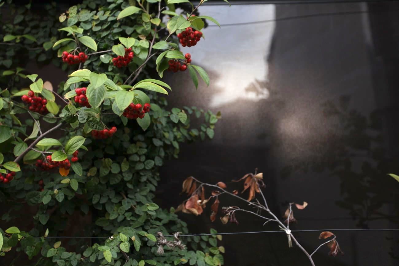 近況と気になった記事7選 10/21~10/27 2013