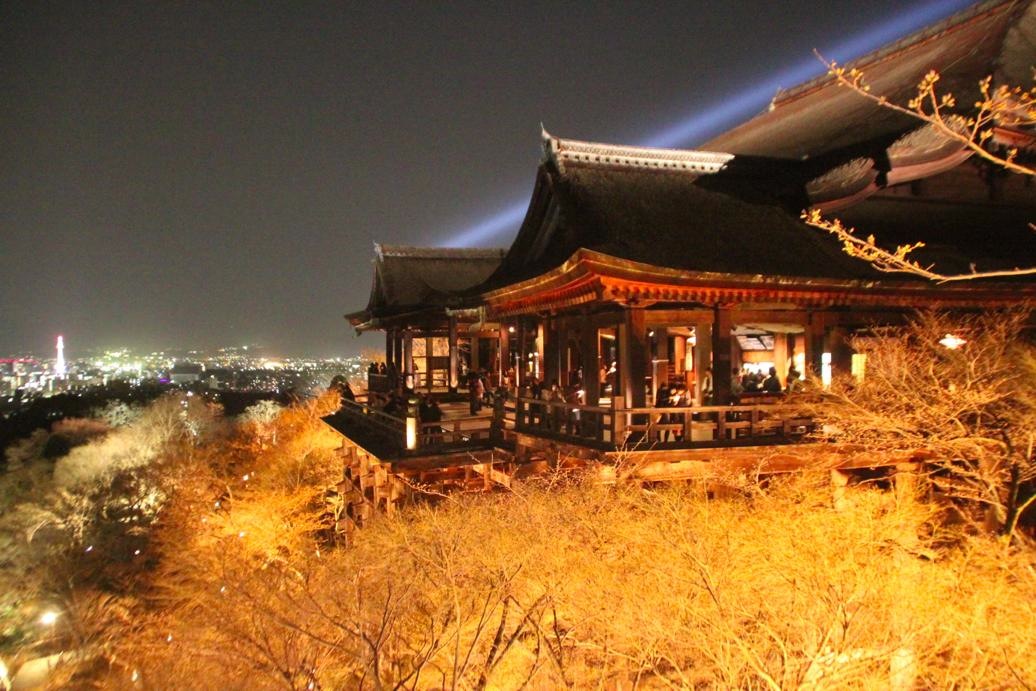 京都　夜　清水寺　ライトアップ