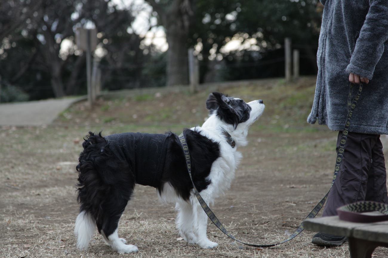 散歩ミーティングのススメ