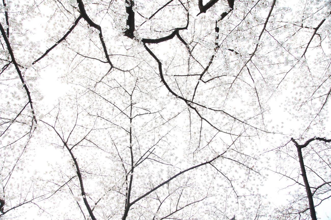 近況と気になった記事7選 3/18~3/23 2013