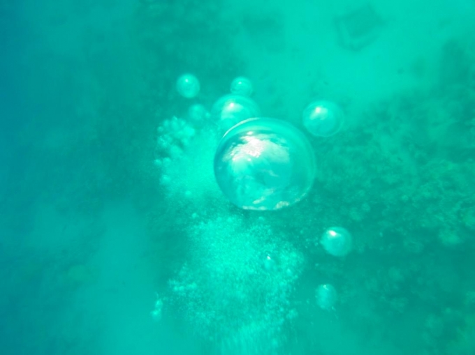 ダハブ　エジプト