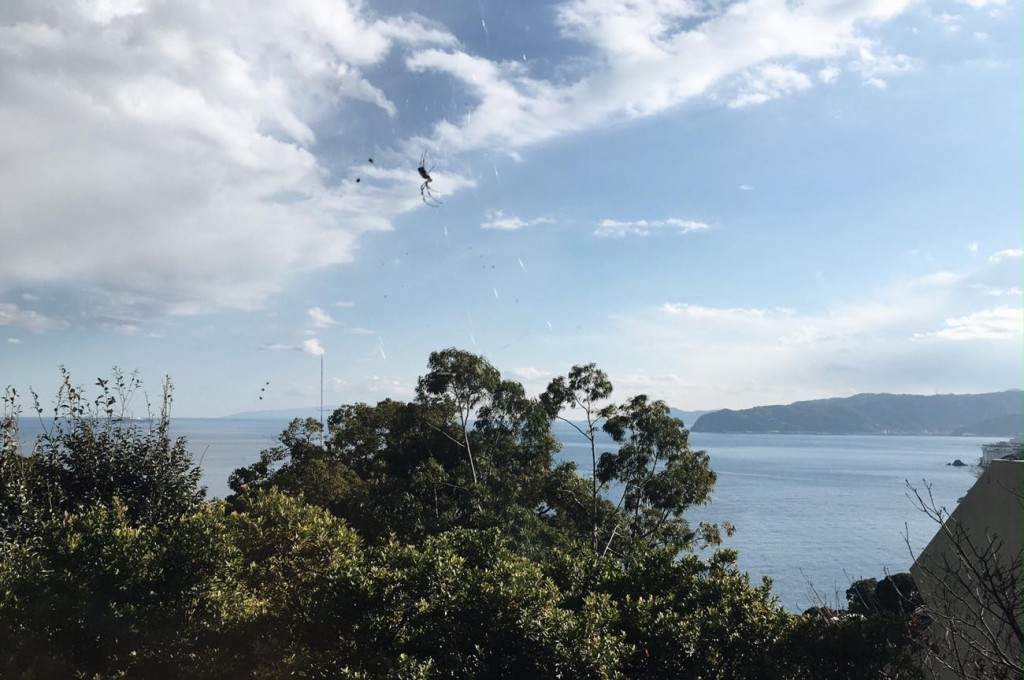 650th_vsco-photo-1-4